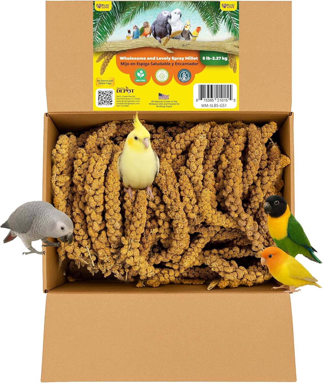 Birds LOVE Wholesome & Lovely Spray Millet Non-GMO (No Stems Only Edible Tops) for Parrots Birds Cockatiel Lovebird Parakeets Finch Canary All Parrots Healthy Treat - 5lbs