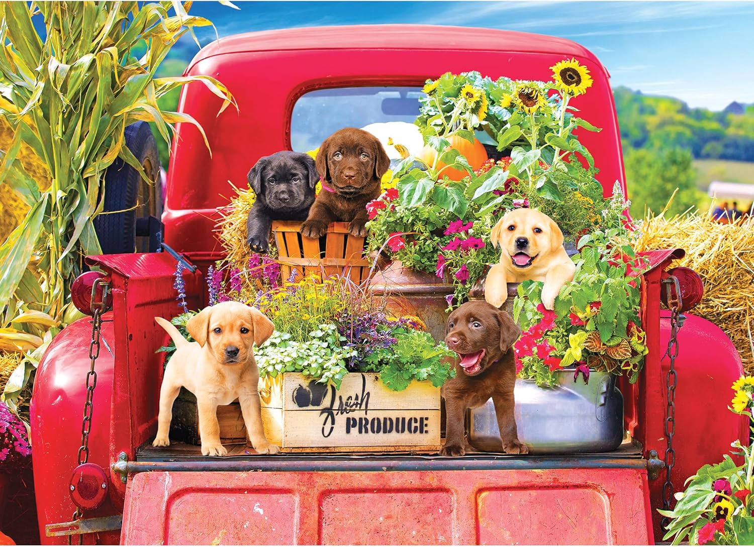 RoseArt - Kodak Premium - Stowaways - 1000 Piece Jigsaw Puzzle for Adults