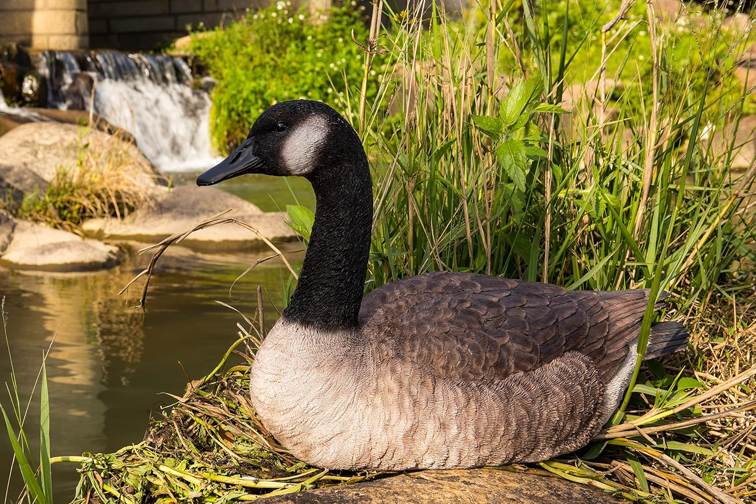Hi-Line Gift Ltd. Sitting Canadian Goose Garden Statue