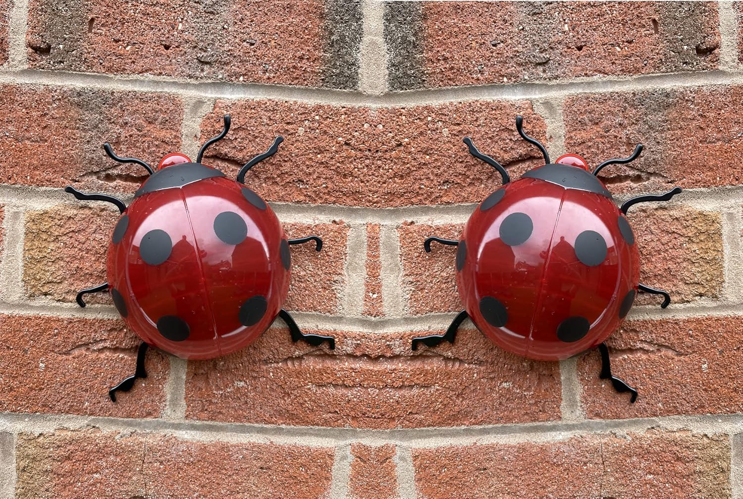 MD MUZ 2 Hanging/freestanding Large Ladybirds Plastic Garden Ladybirds ladybugs Ideal for Patio, Wall, Fence Display Ornaments Art Deco EXTRA LARGE LADYBIRDS 7inch approx each live photos