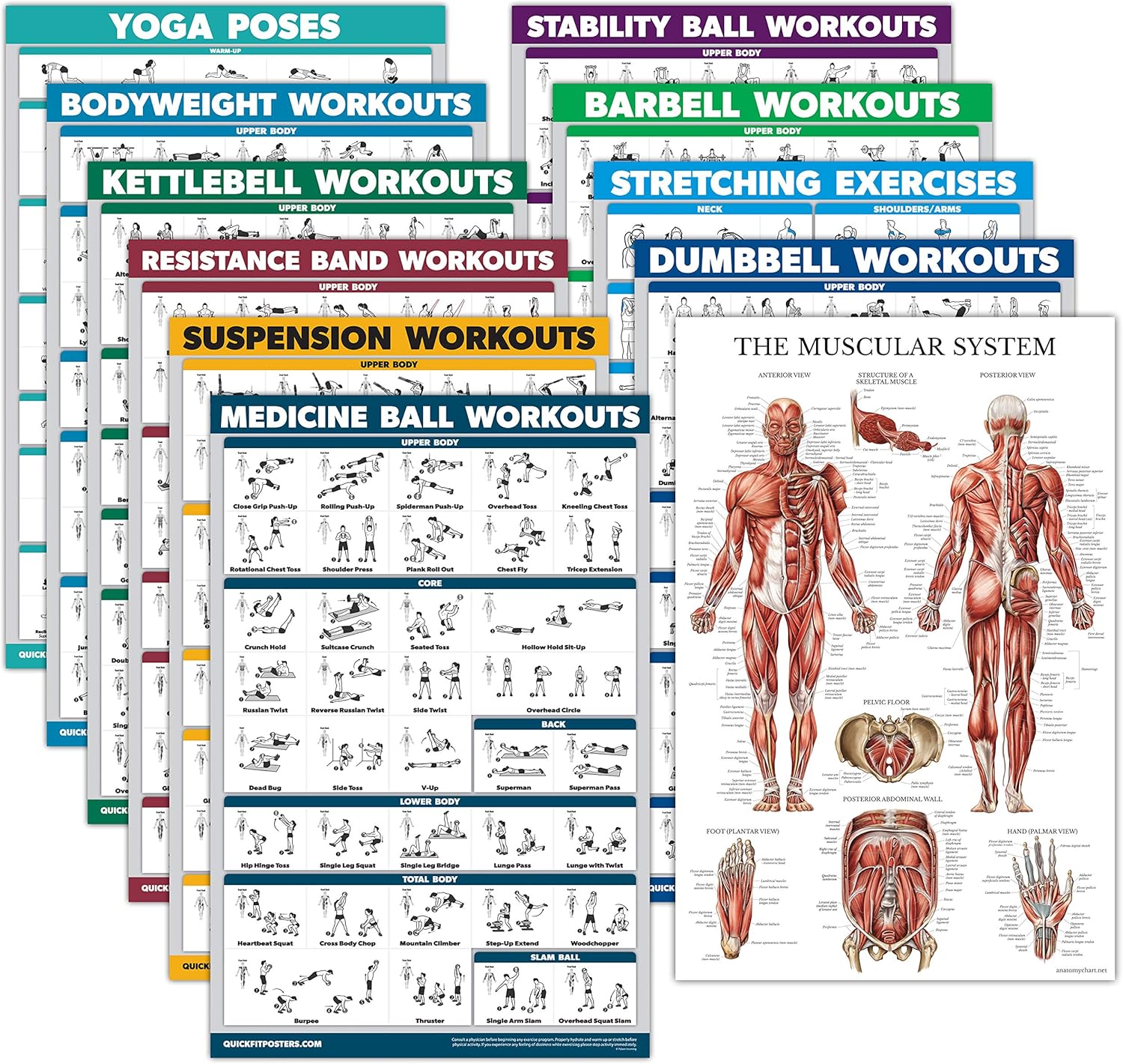 Palace Learning 11 Pack - Exercise Poster Set: Dumbbell, Suspension, Kettlebell, Resistance Bands, Stretching, Bodyweight, Barbell, Yoga, Exercise Ball, Muscular System, Medicine Ball