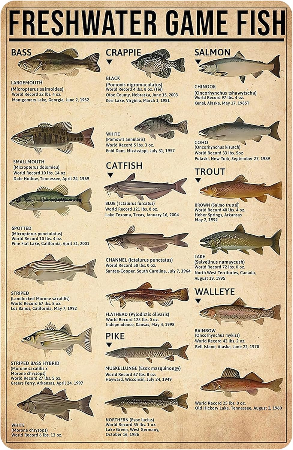 Boy's Fishing Gifts Vintage Fresh Water Gamefish Knowledge Tin Sign for Man Cave Boys Hunting Room Bedroom Lake House Cabin Wall Art Decor 8x12 Inch (3069)