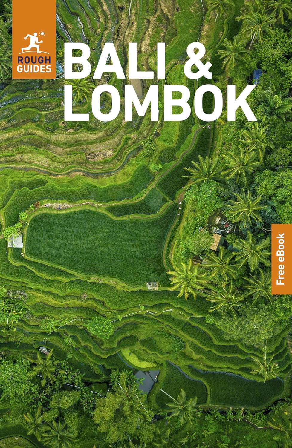 Rough Guides Bali and Lombok: Travel Guide with eBook (Rough Guides Main Series)