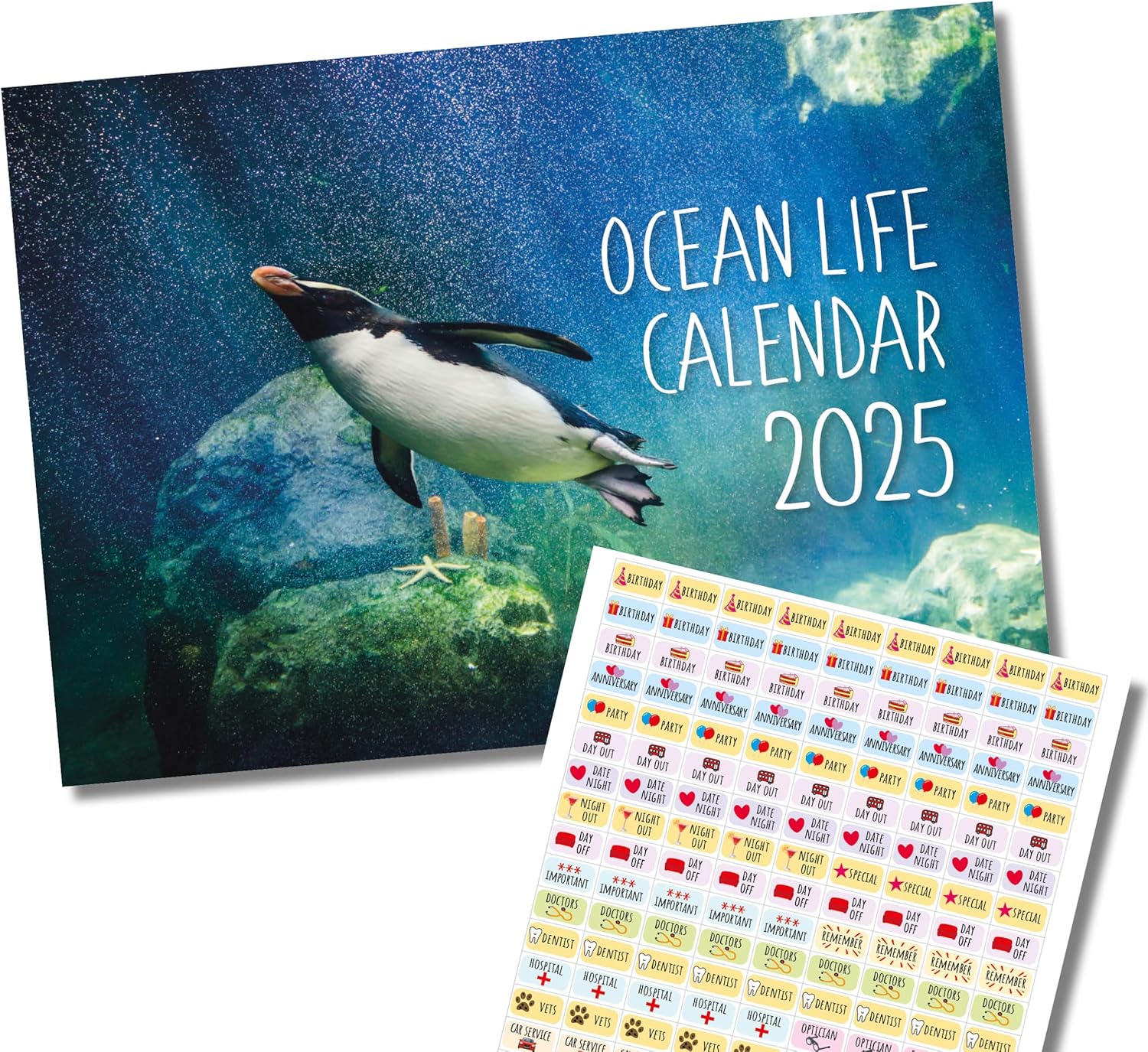 2025 A4 Ocean Life Calendar. One Month to View. A3 when open. Wall Calendar by Absolutely Yours.