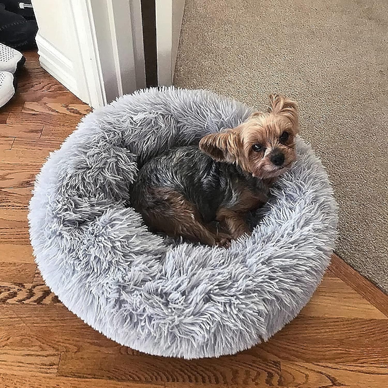nononfish Cute Plush Dog Bed for Small Dogs, 19 inches Anti Anxiety Puppy Bed, Washable, Fits up to 15 lbs