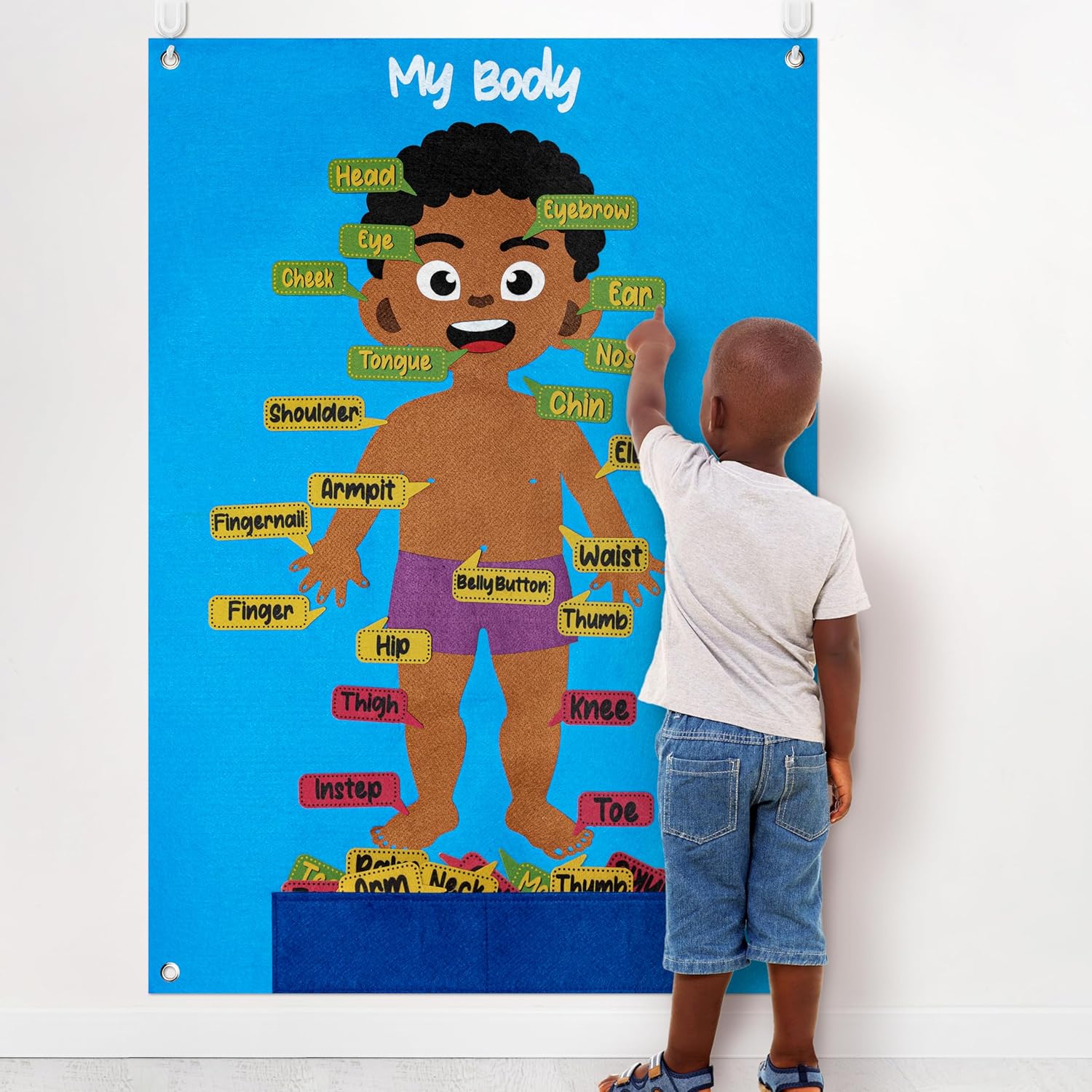 WATINC 35Pcs Brown Skin Color Body Parts Learning Felt Story Board Set, Human Organ Educational Teaching Storytelling Kit, Early Learning Interactive Play Wall Hanging Gift for Toddlers Kids