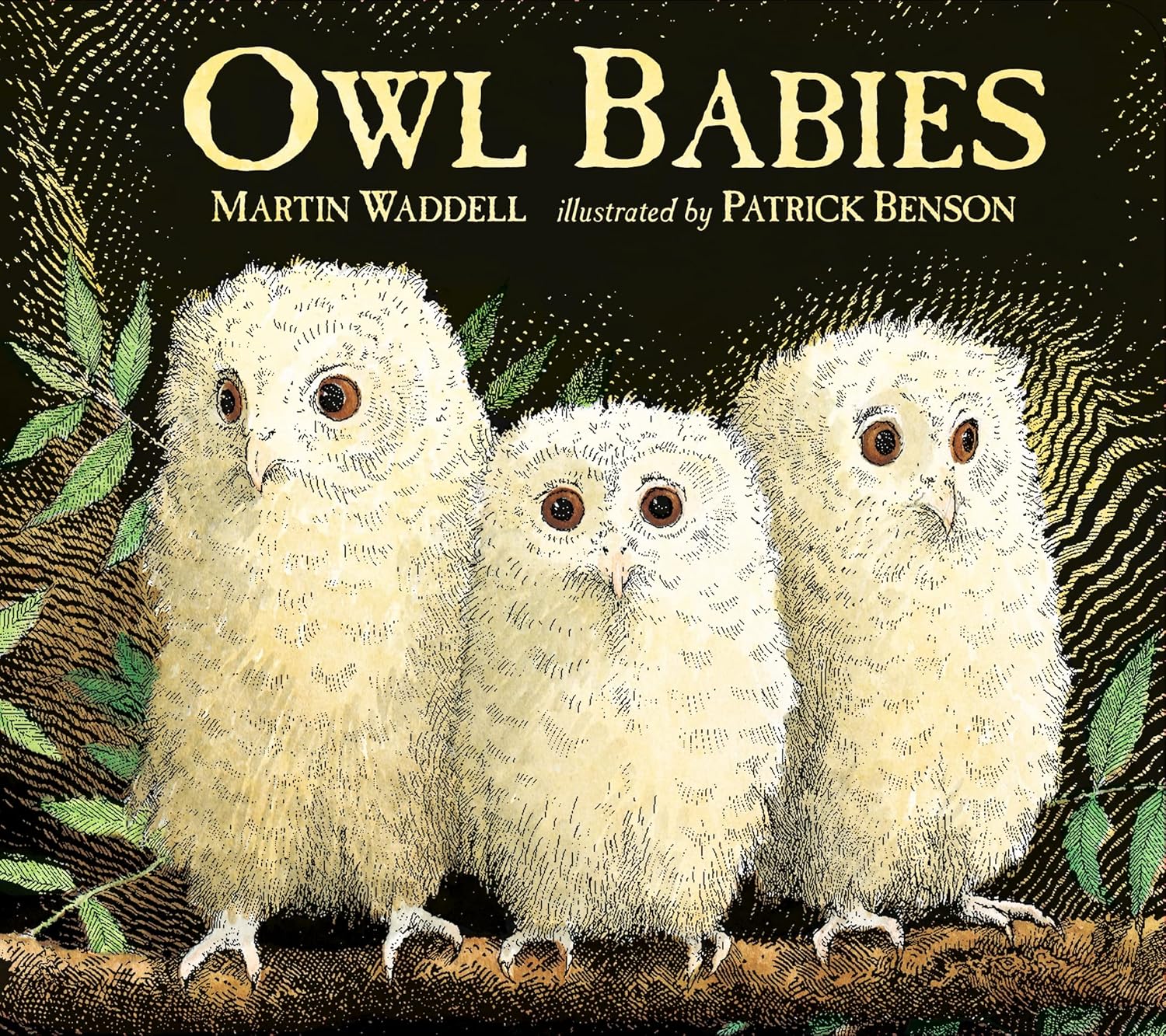 Owl Babies: Over two million copies sold - a heartwarming bedtime picture book story that comforts and reassures - also the perfect gift for birthdays, new parents and baby showers