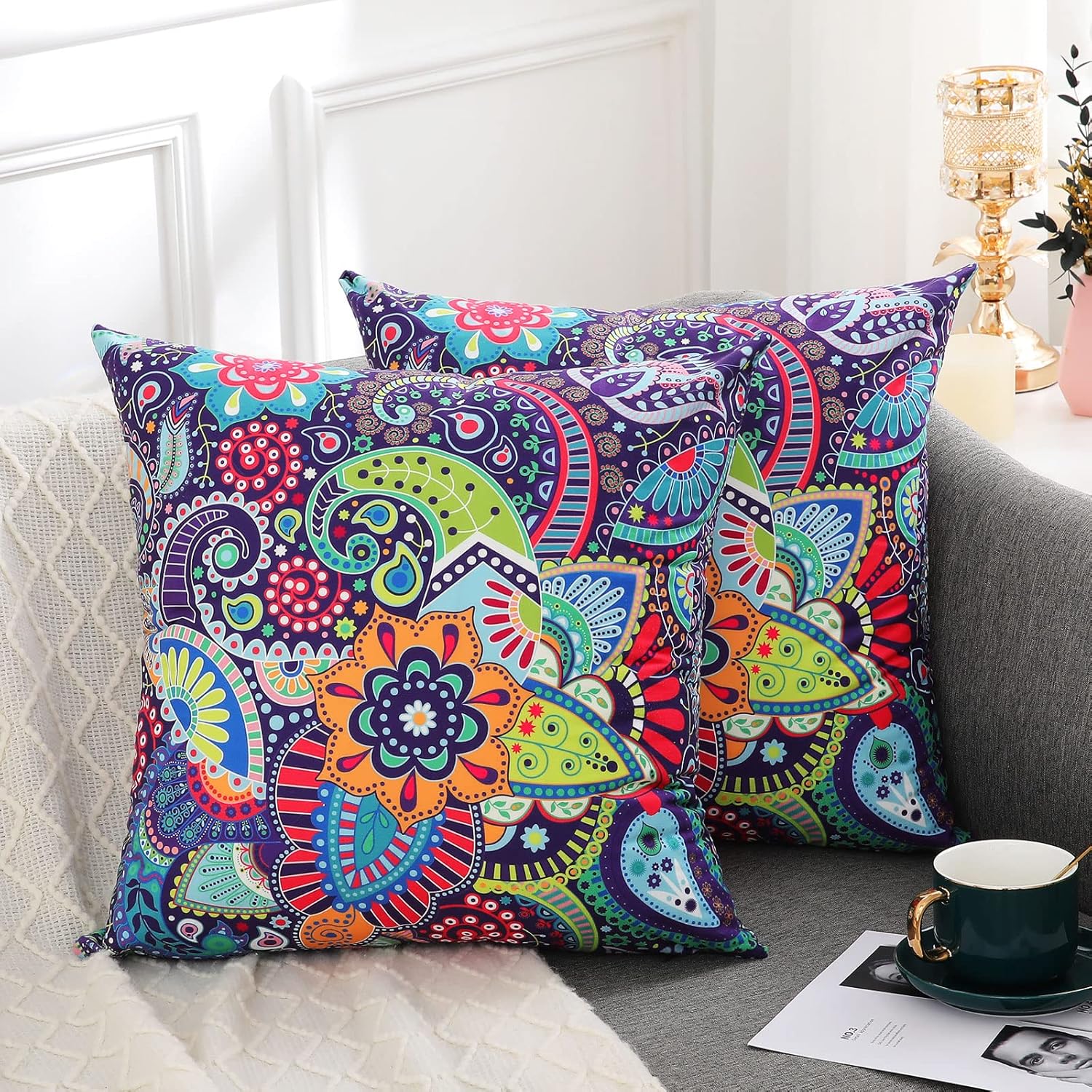 hyha Paisley Throw Pillow Covers 18x18 Inch, Set of 2 Printed Velvet Couch Pillows, Floral Pattern Decorative Pillow Covers, Multicolor Boho Pillow Covers for Bed Couch,(18x18, Paisley Floral)