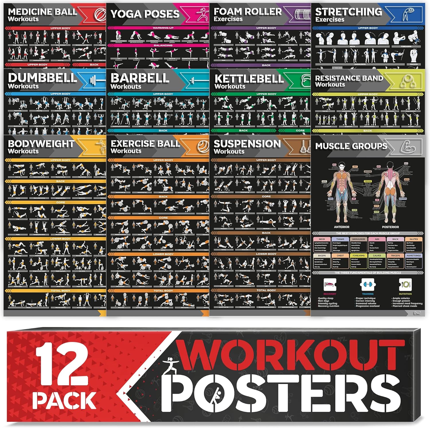[12-PACK] Laminated Large Workout Poster Set - Perfect Workout Posters for Home Gym - Exercise Charts Incl. Dumbbell, Yoga Poses, Resistance Band, Kettlebell, Stretching & More Fitness Gym Posters
