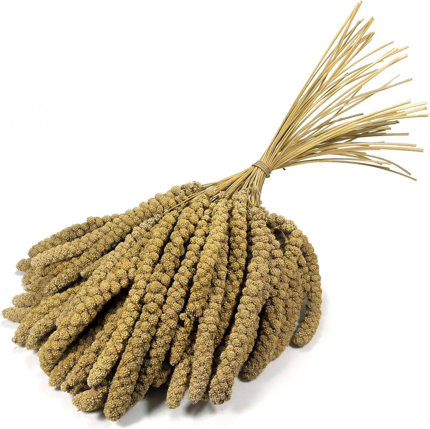 Britten & James Premium Quality Large 10 inch Millet Sprays for Birds. Approx. 1kg. Treat your birds to a healthy, stimulating, natural, low fat treat