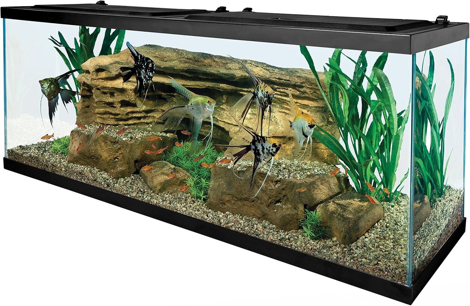 Tetra 55 Gallon Aquarium Kit with Fish Tank, Fish Net, Fish Food, Filter, Heater and Water Conditioners