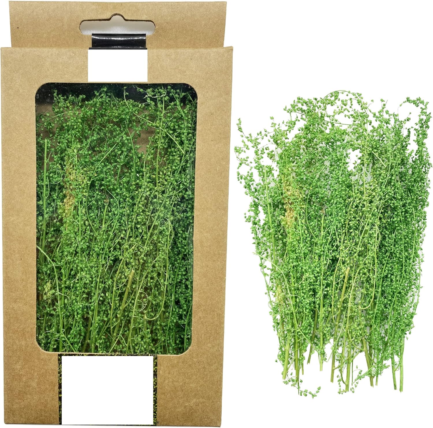 Cayway Miniature Shrubs Model Bushes Long Shrub Vegetation Groups Static Grass Tuft for DIY Model Train Landscape Railroad Scenery, Grass Green