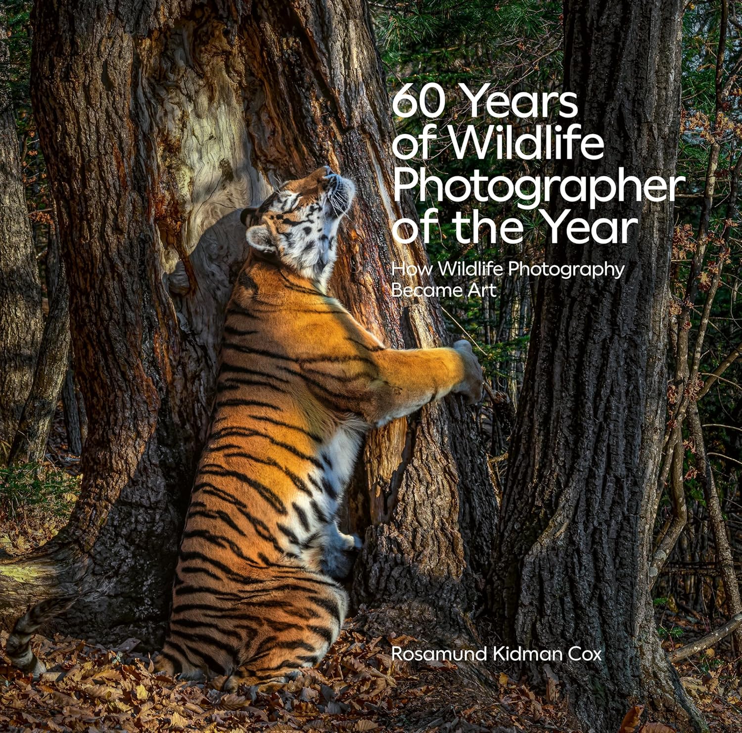 60 Years of Wildlife Photographer of the Year: How Wildlife Photography Became Art